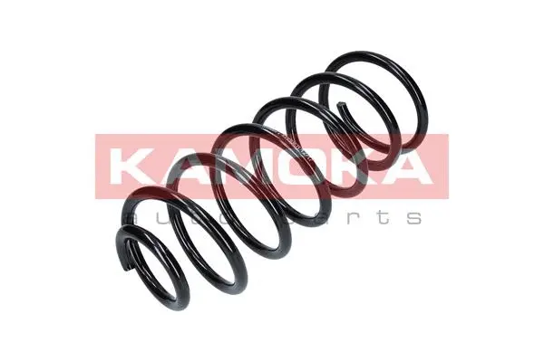 Suspension Spring (2110077)