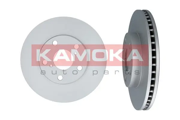 Brake Disc (1031100)