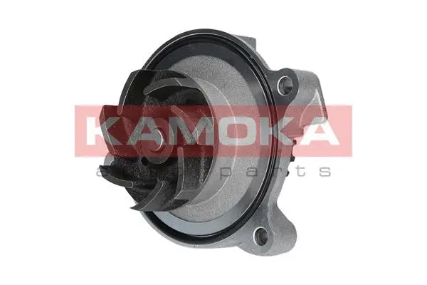 Water Pump, engine cooling (T0271)