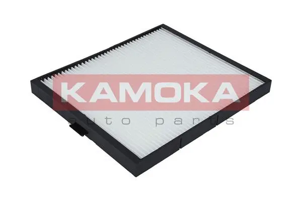 Filter, cabin air (F410701)