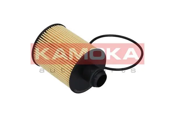Oil Filter (F111601)