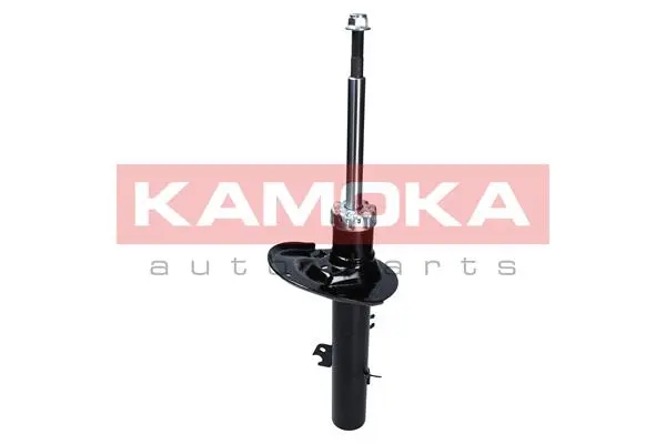 Shock Absorber (2000142)