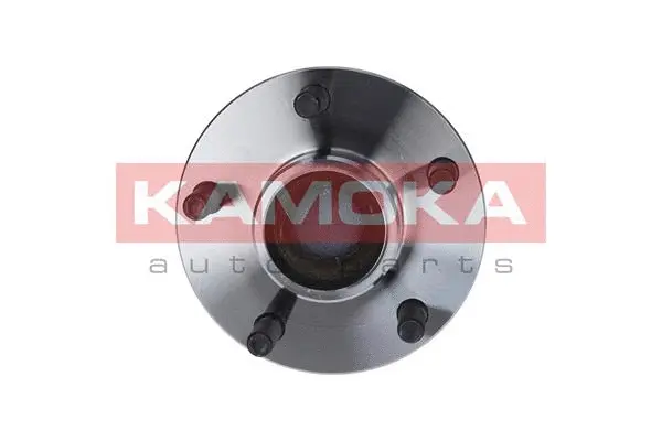 Wheel Bearing Kit (5500087)