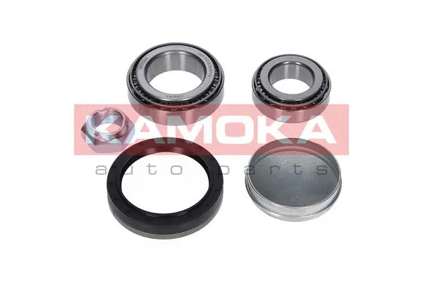 Wheel Bearing Kit (5600004)