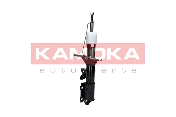 Shock Absorber (2000123)