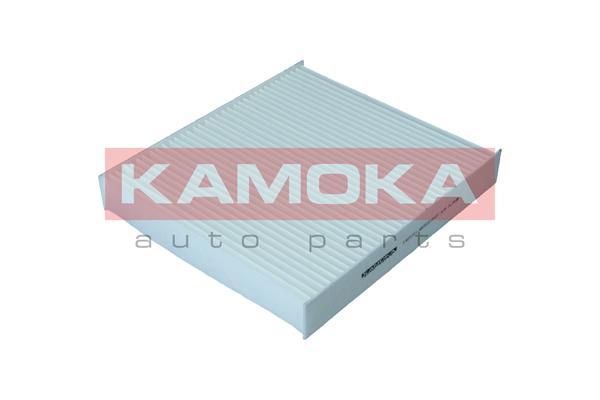 Filter, cabin air (F423101)