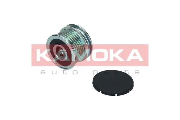 Alternator Freewheel Clutch