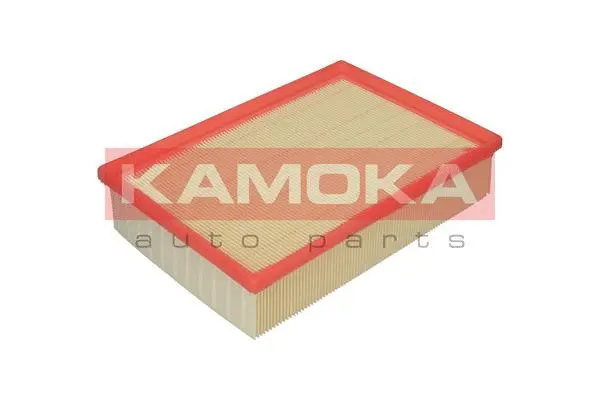Air Filter (F206901)