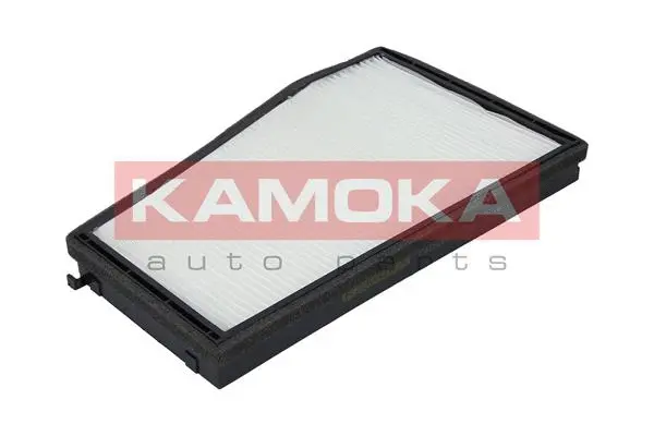 Filter, cabin air (F415201)