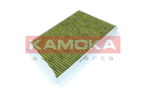 Filter, cabin air (6080065)