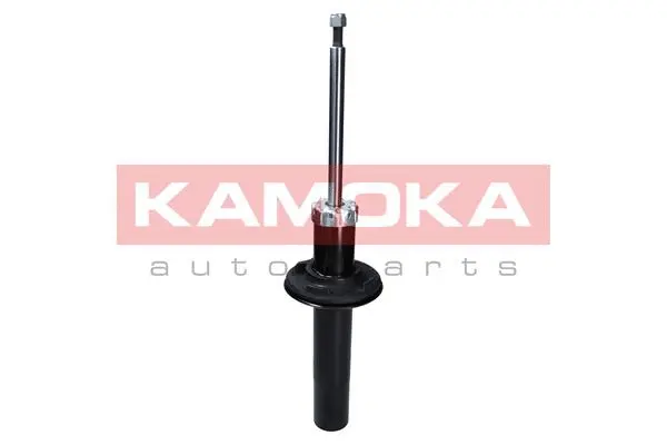 Shock Absorber (2000649)