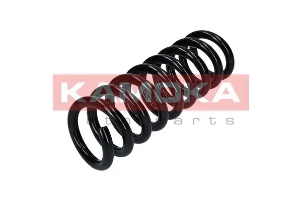 Suspension Spring (2120175)