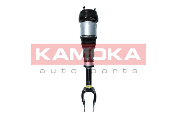 Air Suspension Strut (2070001)