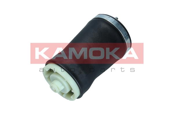 Air Spring, suspension