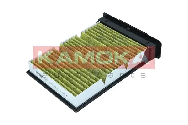 Filter, cabin air (6080121)