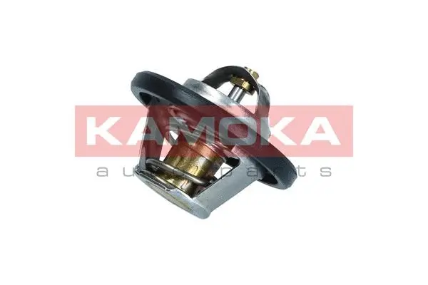 Thermostat, coolant (7710045)