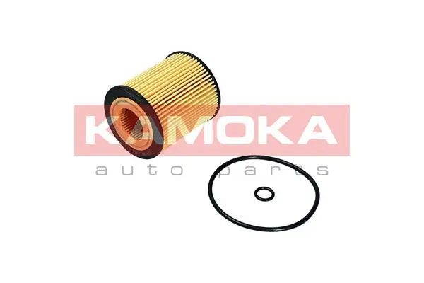 Oil Filter (F120101)