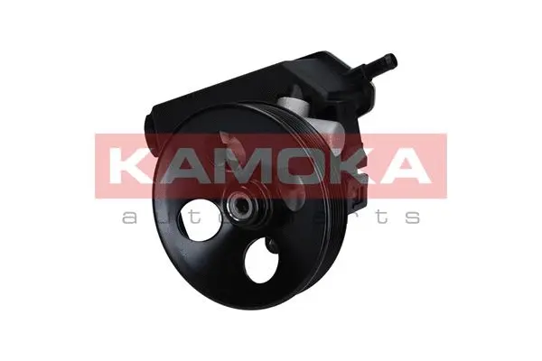 Hydraulic Pump, steering (PP161)