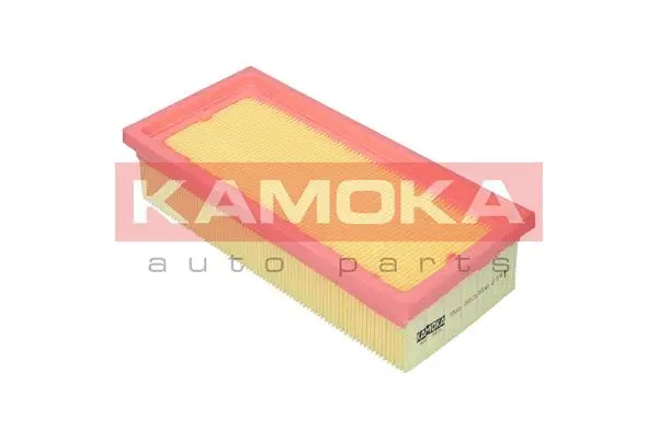 Air Filter (F251601)