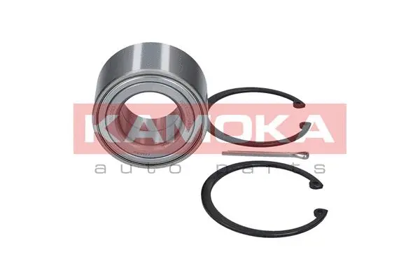 Wheel Bearing Kit (5600023)