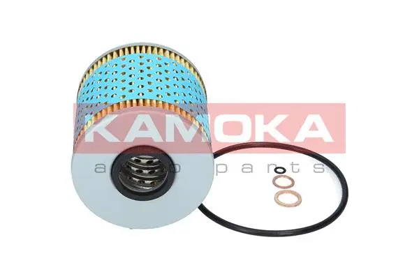Oil Filter (F104901)