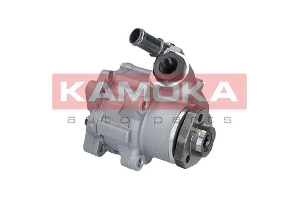 Hydraulic Pump, steering (PP195)