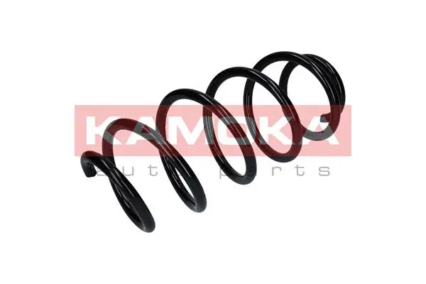Suspension Spring (2110361)