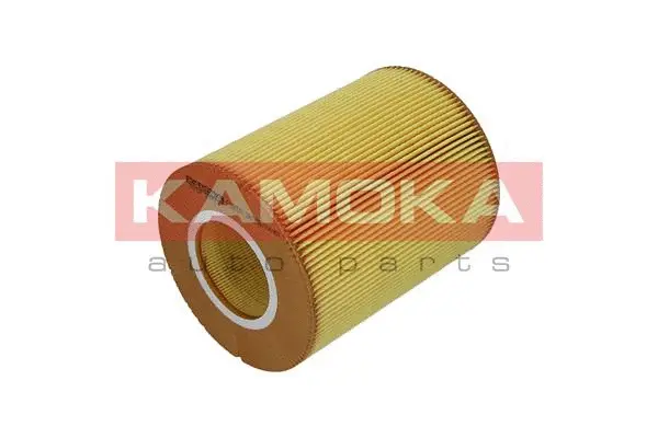 Air Filter (F236501)