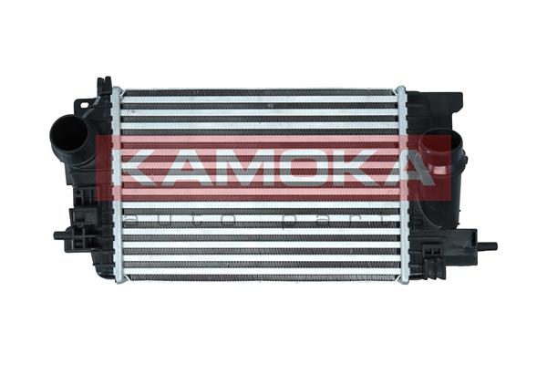 Charge Air Cooler (7750059)