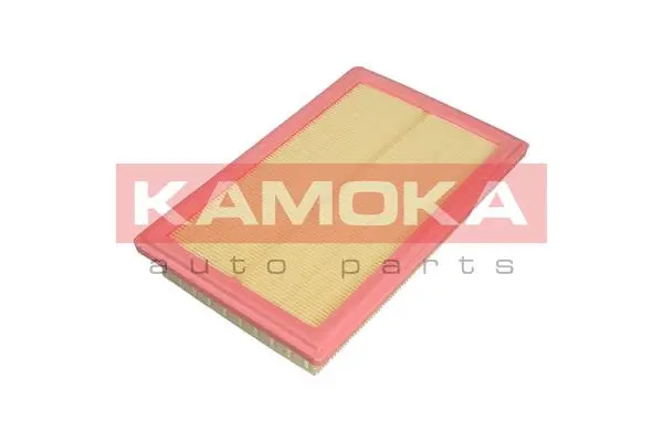 Air Filter (F239301)