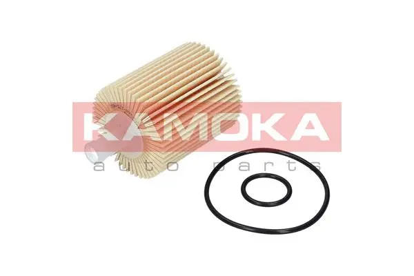 Oil Filter (F108101)