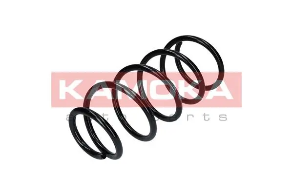 Suspension Spring (2120256)