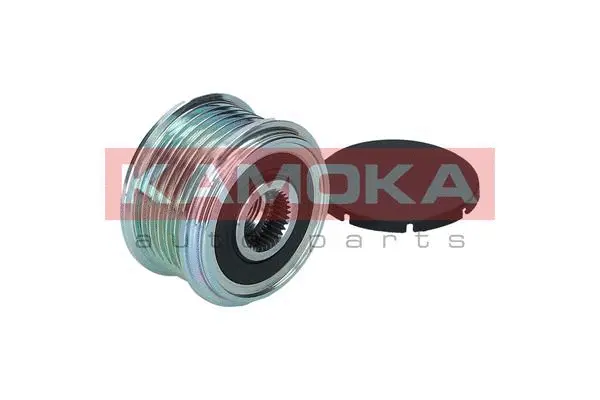 Alternator Freewheel Clutch