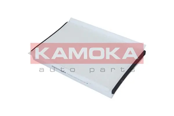 Filter, cabin air (F408901)
