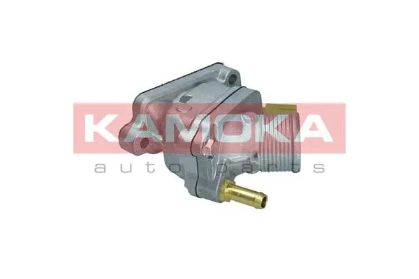 Thermostat, coolant