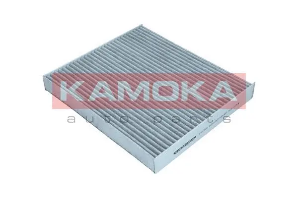 Filter, cabin air (F517001)