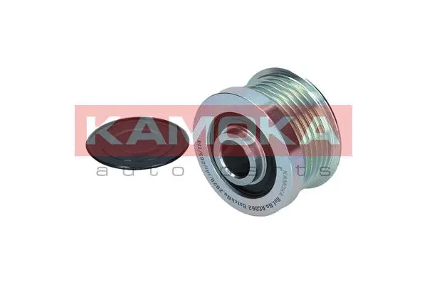 Alternator Freewheel Clutch