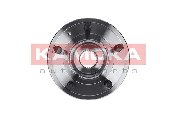 Wheel Bearing Kit (5500150)
