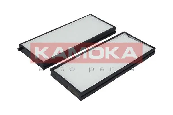 Filter, cabin air (F411601)