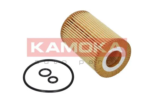 Oil Filter (F112301)
