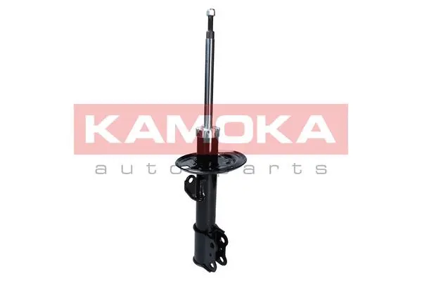 Shock Absorber (2000256)