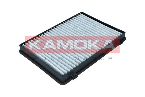 Filter, cabin air (F515001)