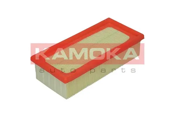 Air Filter (F203301)