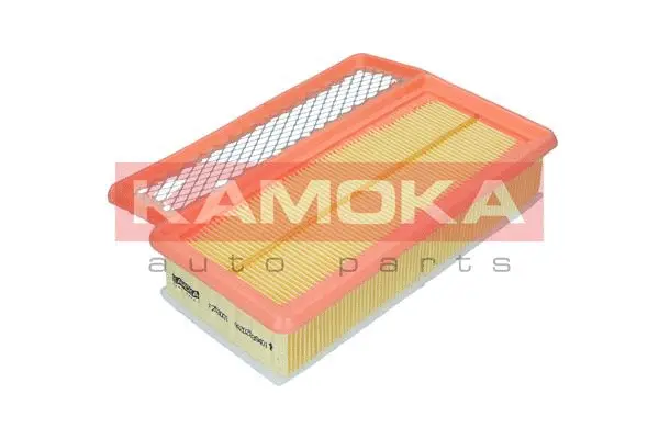 Air Filter (F253001)
