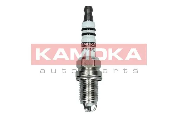 Spark Plug (7100509)