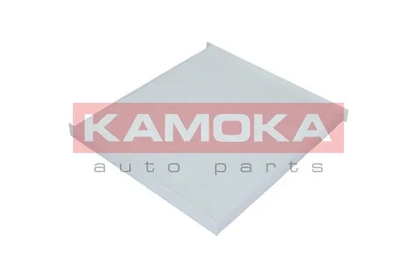 Filter, cabin air (F407201)