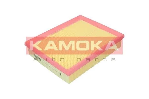 Air Filter (F248101)