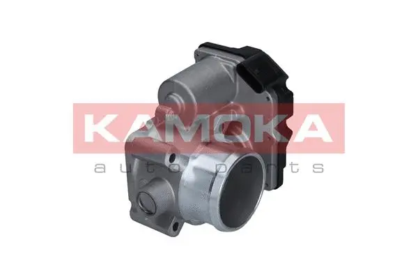 Throttle Body (112032)