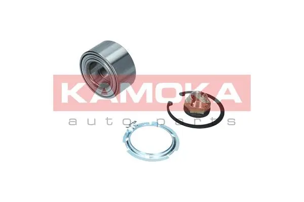 Wheel Bearing Kit (5600098)