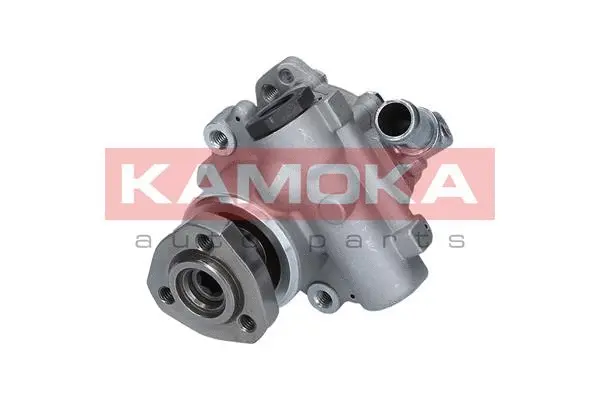 Hydraulic Pump, steering (PP194)